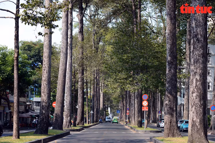 Ngo Gia Tu Street in District 5 (Photo: Tin Tuc Newspaper/VNA)