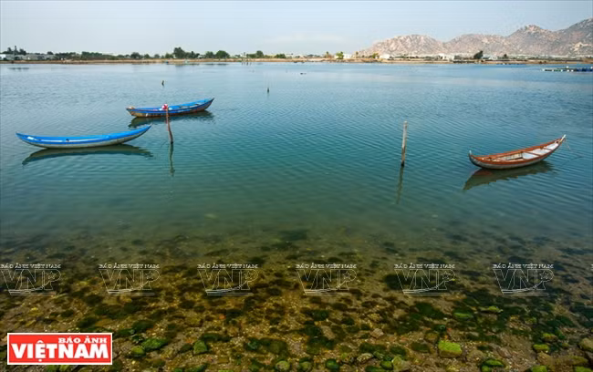 In addition to the clear blue crystal sea and cool breeze, this place is also a popular fishing area. (Photo: VNP/VNA)