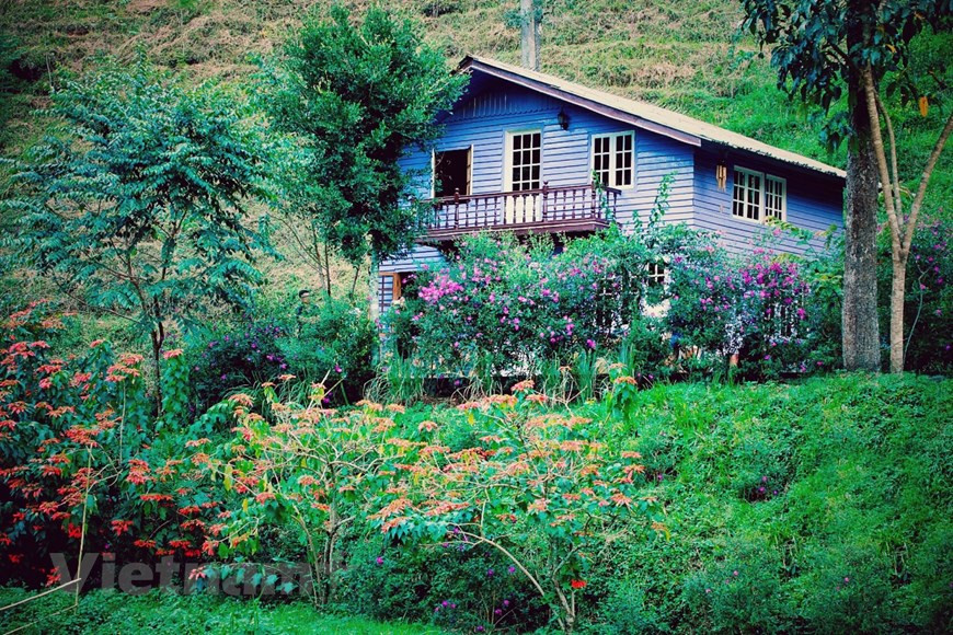Even deep in the forest, “fairy wooden houses” are adorned with colourful flowers. (Photo: Vietnam+)