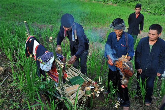 Villagers hand their rice seedlings to local shaman (Photo: VNA)