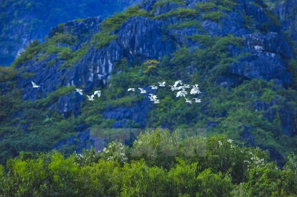 Photo: VNA