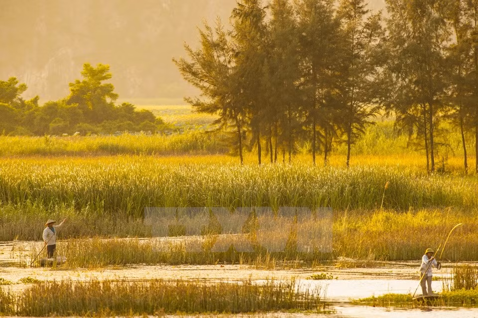 The nature reserve is located in the northeast of Gia Vien district, Ninh Binh province (Photo: VNA)