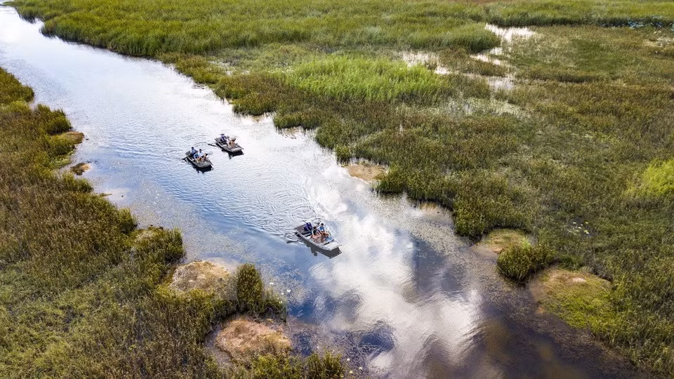 Tourists paddle in Van Long Nature Reserve (Photo: VNA)