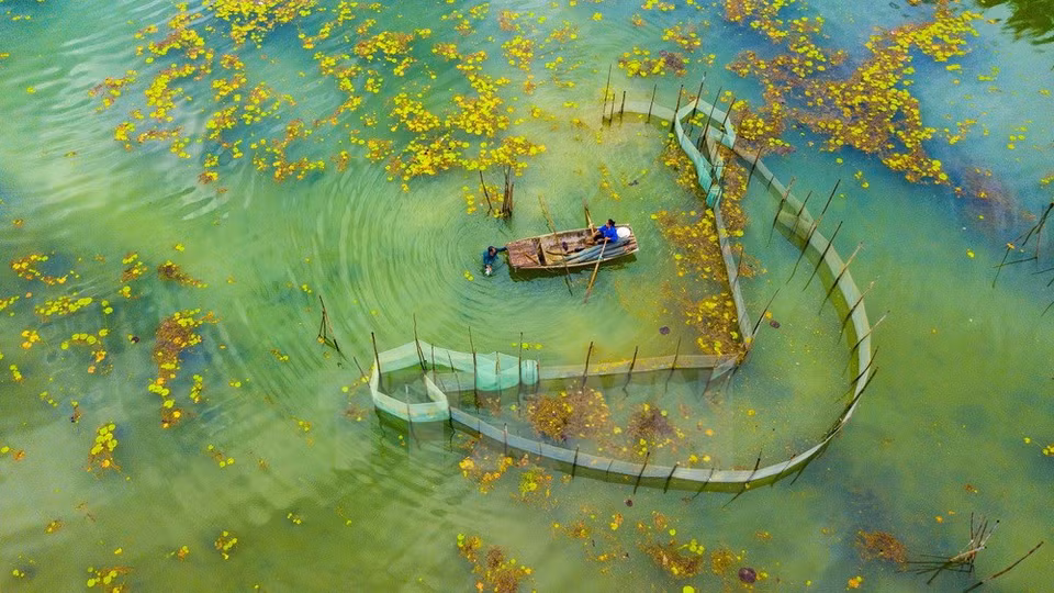 Local people fish in Van Long Nature Reserve (Photo: VNA)
