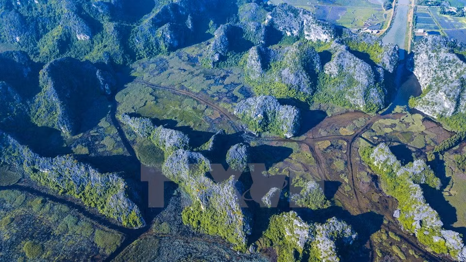 Van Long Nature Reserve is being assisted to conserve rare animals by the Dutch Government, the Global Environment Fund and the Cuc Phuong Endangered Primate Rescue Centre (Photo: VNA)