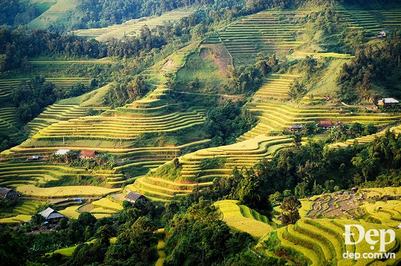 Picturesque terraced fields in Hoang Su Phi (Source: dep.com.vn/VNA)