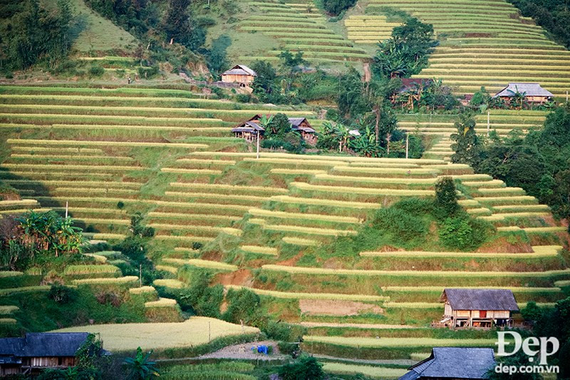 (Source: dep.com.vn/VNA)