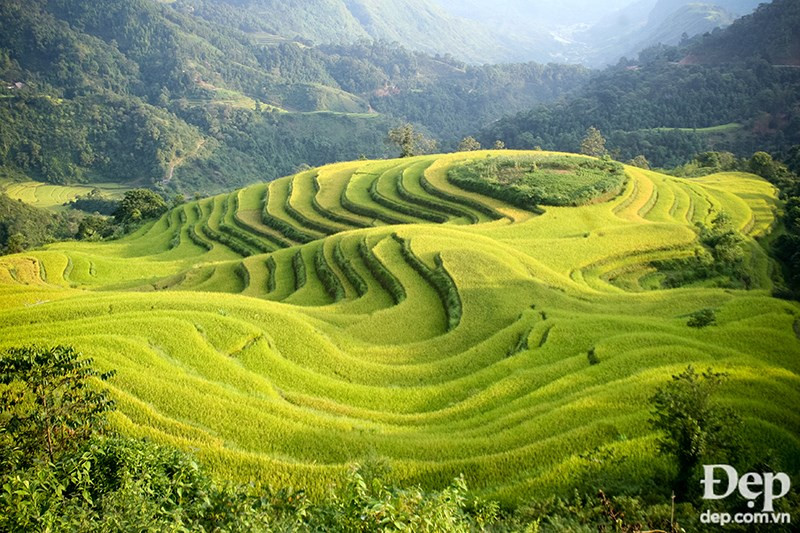 (Source: dep.com.vn/VNA)