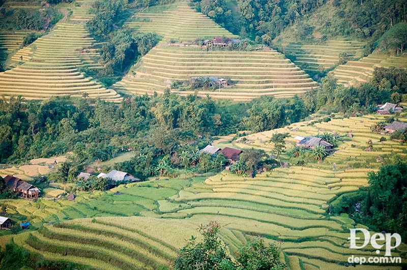 (Source: dep.com.vn/VNA)