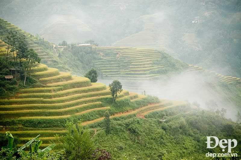 (Source: dep.com.vn/VNA)