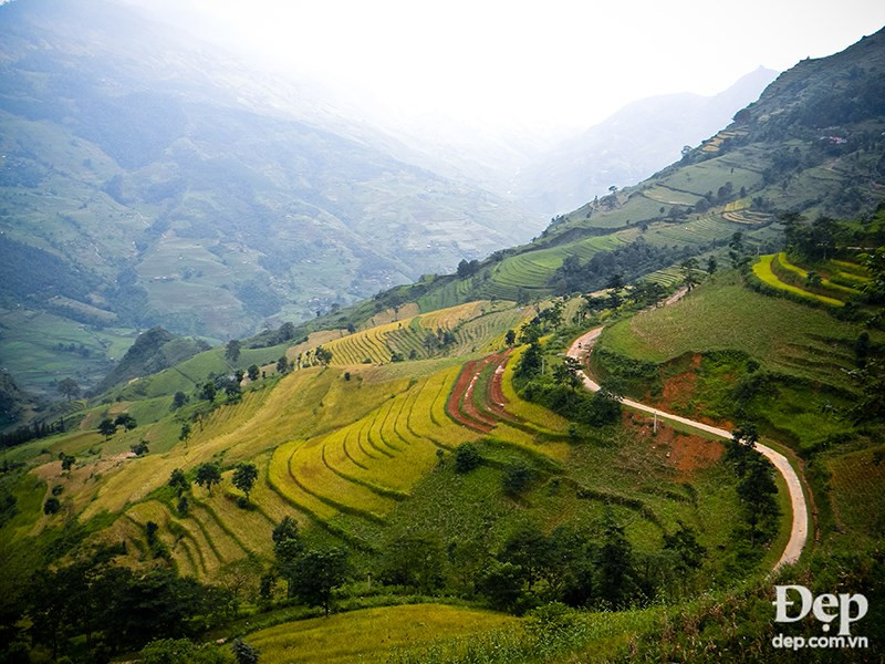 (Source: dep.com.vn/VNA)