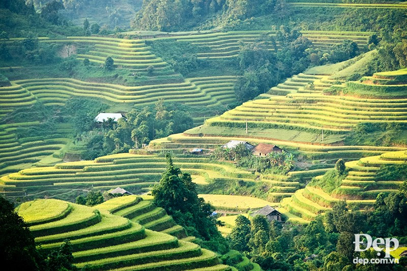 (Source: dep.com.vn/VNA)