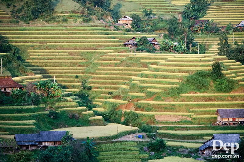 (Source: dep.com.vn/VNA)