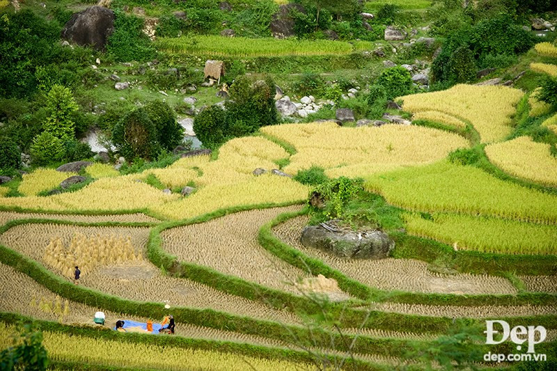 (Source: dep.com.vn/VNA)