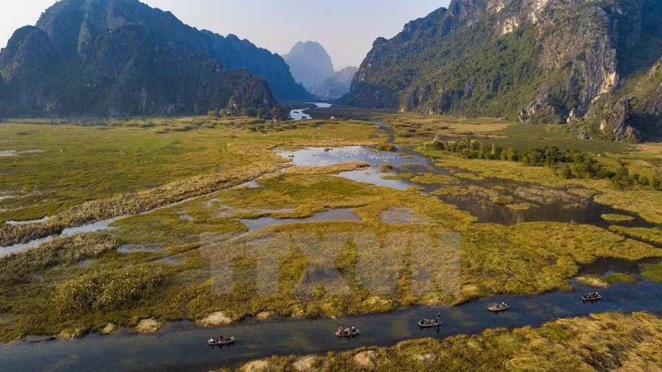Van Long Lagoon is home to thousands of rare fauna and flora species, many of them on the brink of extinction. (Source: VNA) 