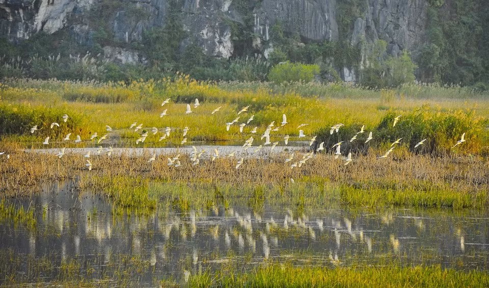 Although it opened for tourism in 1998, Van Long is still as untouched as ever. (Source: VNA)
