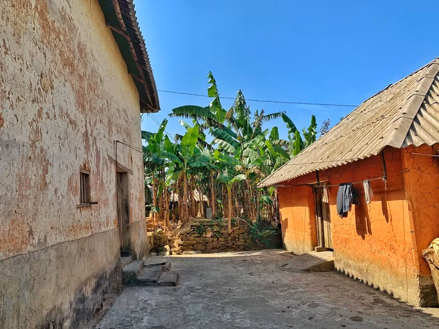 Each rammed earth house covers an area of 60 – 80 square metres. Its wall is 40 – 60 centimetres in thickness and 4 – 5 metres in height. The building of ‘trinh tuong’ houses start at the end of the crop season, from the eighth to the twelfth lunar month. It requires a lot of time, even 4 – 5 months, as well as efforts to complete a ‘trinh tuong’ house. Ha Nhi people often come to assist their neighbours and relatives to build houses. They gather in villages with about 50 – 60 households each and farm wet rice, crops and livestock as the main livelihoods (Photo: VietnamPlus)