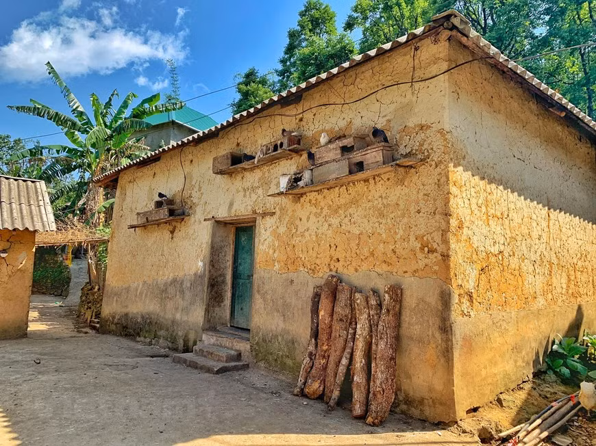 Rammed earth houses provide a shelter that is cool in summer and warm in winter for their owners. They have also become a unique architectural identity of the Ha Nhi ethnic community. Here in Y Ty, the area is covered by clouds clinging to the side of mountains in winter, looking like a heaven of fairies. The white colour is replaced by pink of the Do Quyen (rhododendron) flower in full bloom in spring. As summer comes, the grey paddy fields seem to be covered in a new cloth by the skillful and industrious hands of locals. In September and October, when Y Ty is most beautiful, the rice paddies turn yellow dotted with houses with wooden roofs (Photo: VietnamPlus)