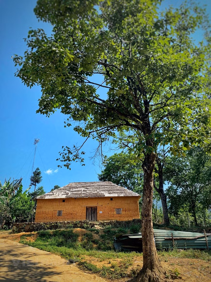 Houses with bright yellow earth walls stand out in mountains and forests. Y Ty in Bat Xat district, about 70 km to the north of renowned resort town Sa Pa, is rather isolated due to high surrounding mountains. It is famed among Vietnamese trekkers for its beautiful scenery at cloud level. The commune, which is 2,000 metres above sea level, is home to H’mong, Dao, Giay and Ha Nhi ethnic minority groups. Y Ty is beautiful throughout the year though September and October are considered the best months to visit as the rice paddies will turn yellow dotted with houses with wooden roofs (Photo: VietnamPlus)