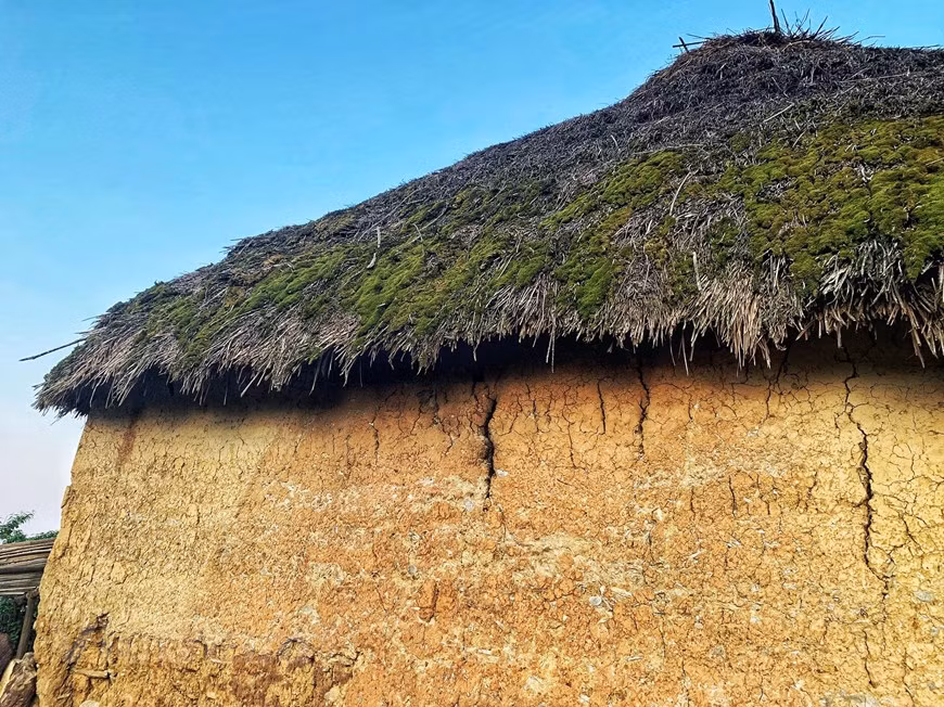 In the past, Ha Nhi people often collected thatch in the forest or use rice straw to make layers of cover that could be up to 50 centimertres thick on the top of their ‘trinh tuong’ houses. The thatch roofs help these houses to be cool in summer and warm in winter. Nowadays, as local living standards have been improving, Ha Nhi people have also replaced thatch and rice straw with corrugated iron or fibre cement sheets to put atop their houses. Covering an area of 60 – 80 square metres, each rammed earth house has four sloping short roofs and only one door in the middle and one or two small windows in the left or the right of the door (Photo: VietnamPlus)