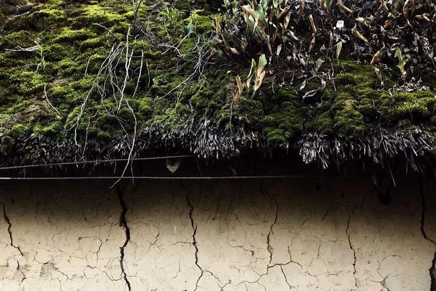 Green lichen and moss blanket the roof of an old rammed earth house. Ha Nhi people often come to assist one another to build houses. According to the 2009 population census, the Ha Nhi ethnic group has a population of about 22,000. Most of this minority’s population live in Lao Cai, Lai Chau and Dien Bien, three mountainous border provinces in the north of the country. The Ha Nhi people have always been known to be diligent. Apart from growing wet rice on terraced fields for self-sufficiency they also grow cotton and weave fabric to make traditional costumes of their ethnic group (Photo: VietnamPlus)