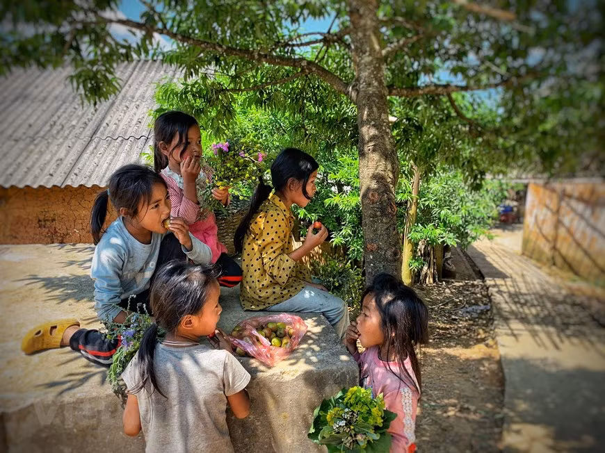 Young girls enjoy a snack together. Y Ty has become an appealing destination for local and international tourists thanks to its beautiful paddy fields and traditional forest-worship rituals. About 80 kilometres north of Lao Cai city, this commune is made up of mountainous terrain with steep slopes and a tough climate, with many streams that make it difficult for locals to farm any grain variety. To adapt, locals created terraced paddy fields, with each generation expanding them, one on top of the other hugging mountains. At 2,000 metres above sea level and wrapped in mist and clouds, the terraced paddy fields impress visitors with a beautiful view of where sky meets earth (Photo: VietnamPlus)