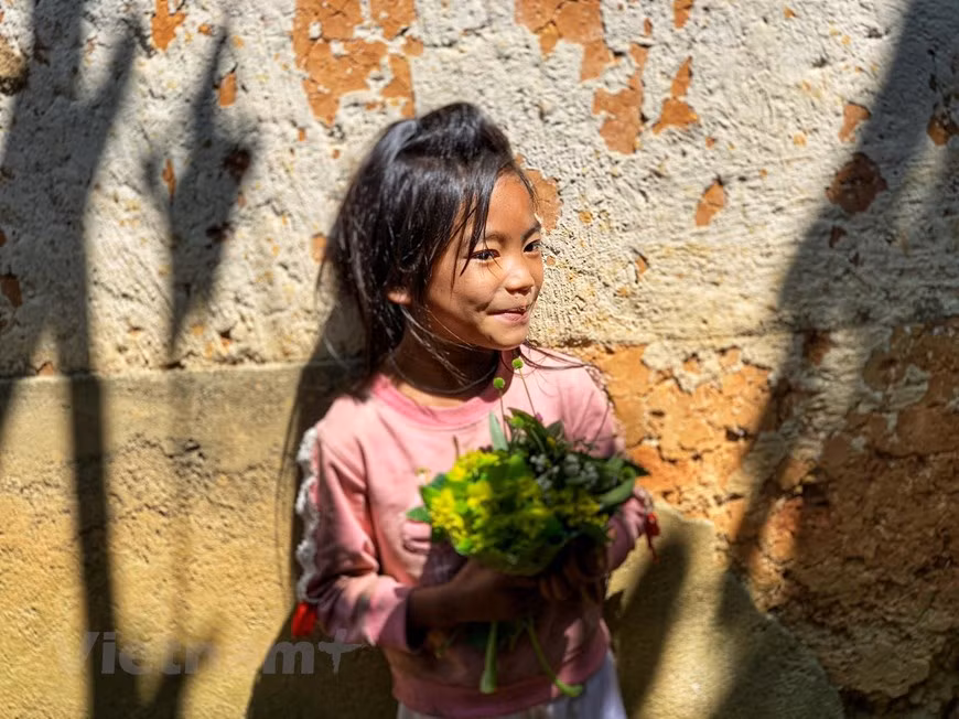 Wild flowers are popular toys of children here. Ha Nhi people often reside in valleys below halfway up the mountain. In the Ha Nhi community, women are the breadwinners in families so they are in charge of farm work while men and the elderly often do the housework. The Ha Nhi language belongs to the Tibeto – Burmese language group. This ethnic group lives on rice cultivation of burnt-over land or terraced fields. They are one of the groups experienced in reclaiming terraced fields on mountain slopes, digging canals and building small dams. Their animal husbandry, weaving and basketry making are also developed (Photo: VietnamPlus)