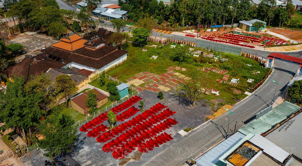 Vibrant scenes at the Dinh Yen Mat Village in Dinh Yen commune, Lap Vo district, Dong Thap province. (Photo: VNA)