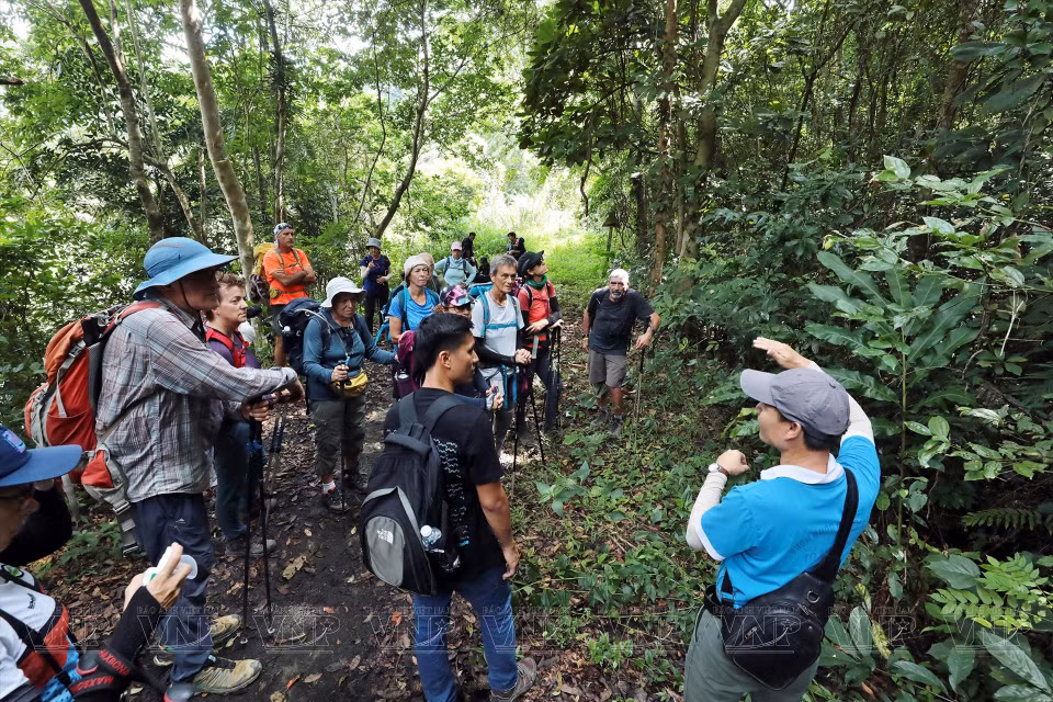Adventurous tourists explore walking trails within Cat Ba National Park. (Photo: VNP/VNA)