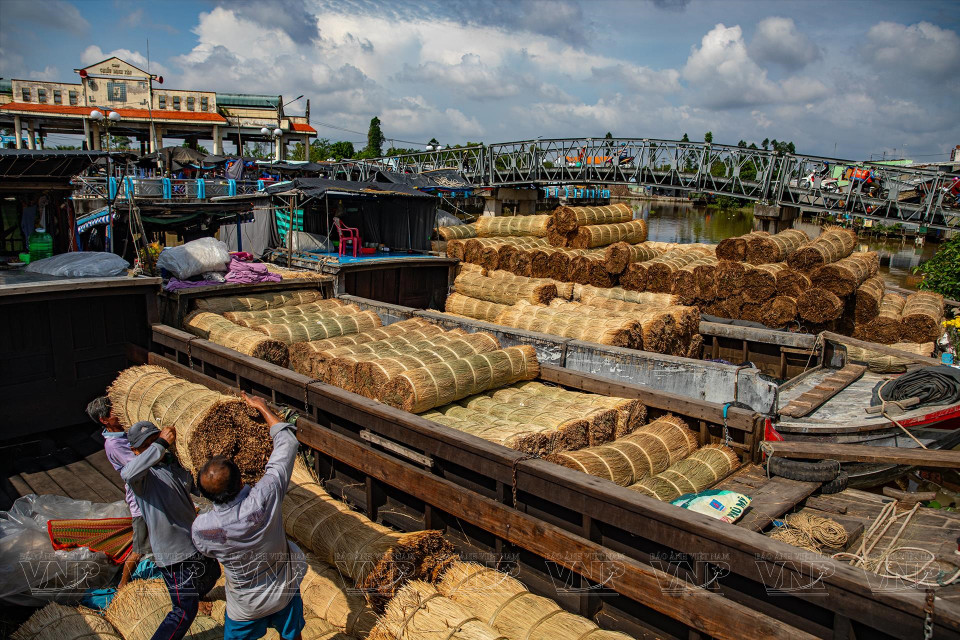 Rattan, sourced locally or brought from nearby provinces by waterway, is the primary material for crafting mats at the traditional craft village. (Photo: VNA)