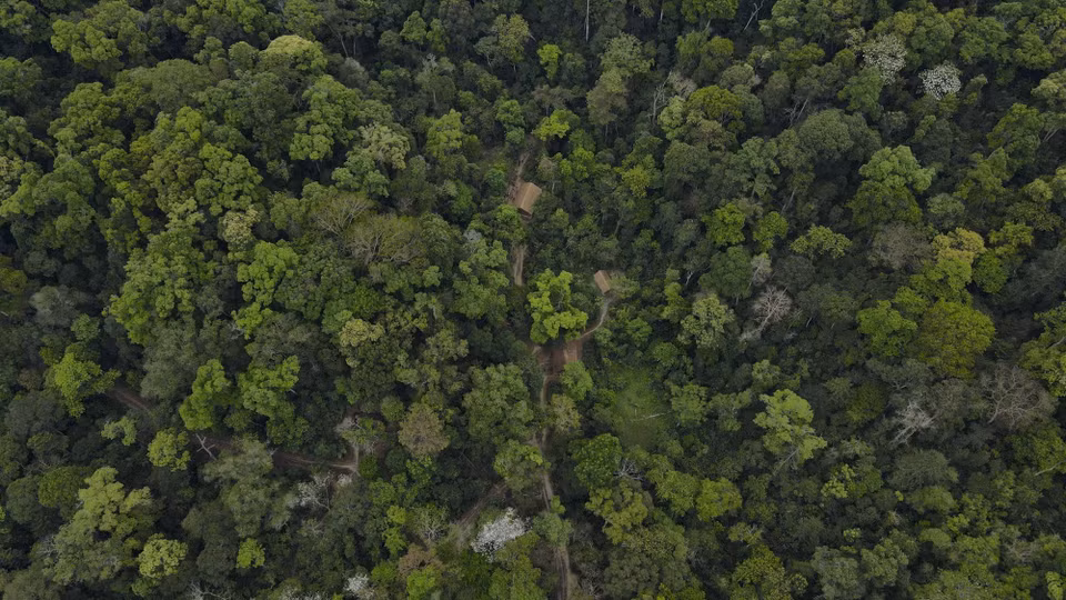 The Command Headquarters of the Dien Bien Phu Campaign was situated in the old-growth forest area in Muong Phang commune, Dien Bien province. (Photo: VNA)