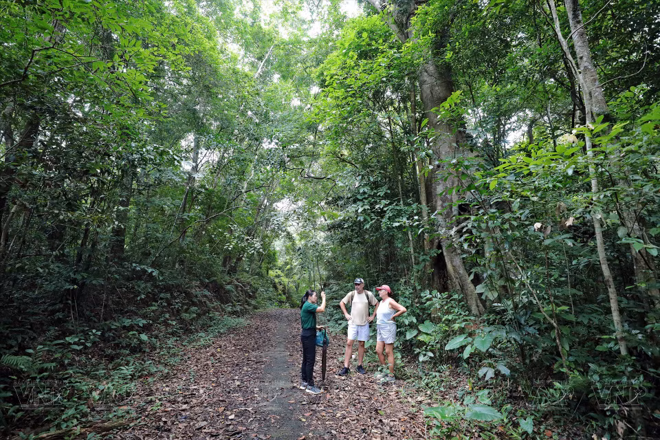 A tour guide provided by the Management Board accompanies visitors, offering guidance and insightful information along the route. (Photo: VNP/VNA)