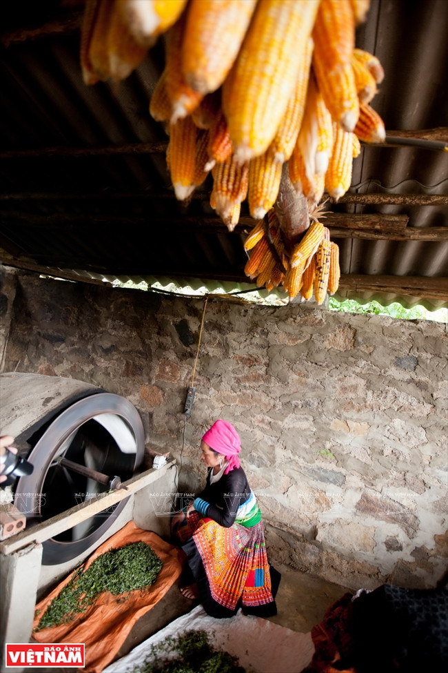 The tea buds are then dried before being packed (Photo: VNA)