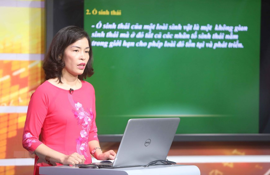 Pupils in ninth and twelfth grades in Hanoi are now able to keep up with courseworks as schools remain closed during the COVID-19 epidemic (Photo: VNA)
