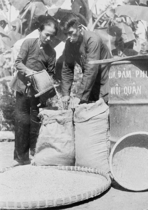A farmer household in An Phong commune, Hoai An district, Binh Dinh province donates rice to Vietnamese soldiers (Photo: VNA)
