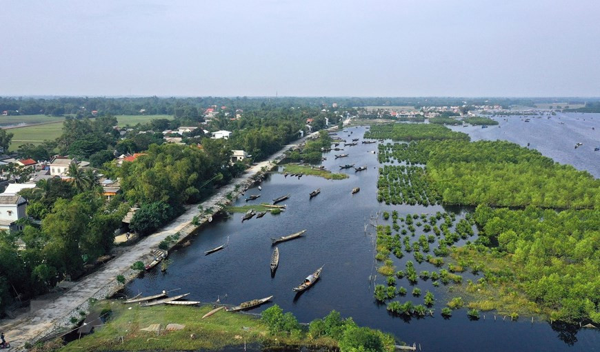 Mangrove forests are like shields against high tides and erosion for residents in Tam Giang lagoon in Quang Loi commune, Quang Dien district (Photo: VNA)