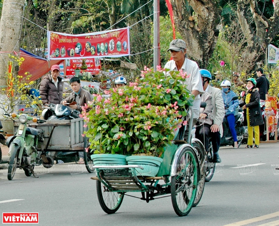 A cyclo carries flowers for selling at a local market (Photo: VNA)