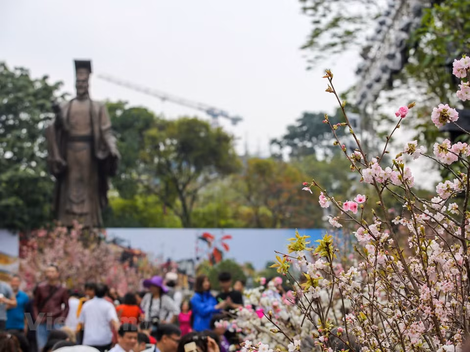 The festival is expected to help Vietnamese people to understand better about Japanese land, culture and people in addition to boosting collaboration in culture, tourism and economy (Photo: VNA)