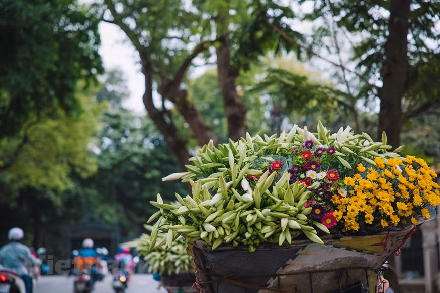 Easter lily is also considered the flower signaling that summer is just around the corner. The price this year is more reasonable than last year. It is higher on the first and 15th day of lunar months. The wholesale price is about 160,000 - 180,000 VND (7 - 8 USD) per bundle of 100 flowers and the retail price, about 200,000 VND. Hanoi has been emerging as one of the most attractive destinations in the region and the world. In 2019, it won the Travelers’ Choice Awards and was ranked among the 25 leading destinations in Asia and the 25 world’s leading places on TripAdvisor website. (Photo: VietnamPlus)