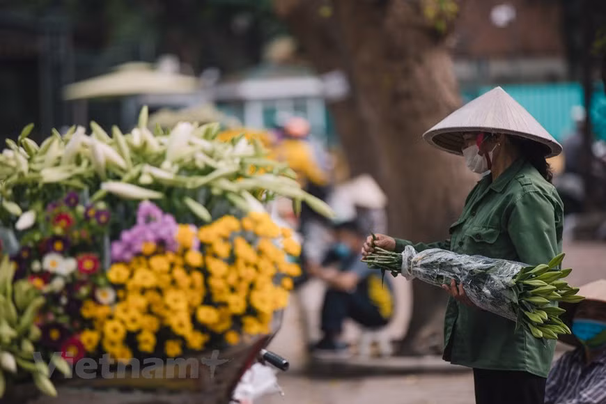 Not as colourful or strongly fragrant as many other flowers, the simple white colour of Easter lily give this flower its special pure beauty. Hanoi has long established itself as a popular destination for both Vietnamese and foreign visitors. According to the 2021 TripAdvisor Travelers’ Choice Awards, the city was one of the four Vietnamese cities listed among the most popular destinations in Asia in 2020. On the list, Hanoi ranked second, ancient town Hoi An in central Quang Nam province fourth, Ho Chi Minh City 11th, and central Da Nang city 16th. The capital city was also ranked the sixth place among the 25 most popular destinations in the world by Tripadvisor. (Photo: VietnamPlus)