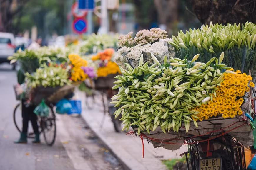 White lilies have become part of Hanoi’s soul in spring, and the vendors peddling them around the city are also a very specific feature in April. At the Easter lily season, farmers are busy cutting flowers and selling them. Each day, a household can pick thousands of flowers. Lilies are harvested from late March until the end of April. After being cut off for sale, the bulbs are still in the ground, and they will be dug up in July and re-planted for the next crop about a month later. With a good care, a bulb can produce up to 15 - 18 flowers. (Photo: VietnamPlus)