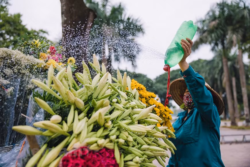 People can buy 10 stalks of Easter lily, enough to fill a room with the light fragrance of the flowers, which set them back only 25,000 - 30,000 VND. Their fragrance and elegant white petals enthrall many people. Street vendors must water the flowers constantly to keep them fresh. Most of the street vendors are from outlying areas or other localities, and they come to the capital city to earn a living. However, the items they sell as well as themselves have proved to be contributors to Hanoi’s attractiveness. In recent years, Hanoi has been hailed as one of the most attractive destinations in the region and the world. (Photo: VietnamPlus)