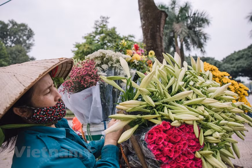 Hanoians prefer Easter lily out of its simple beauty and subtle fragrance. It is considered as a symbol of April in Hanoi. Its flowers are sold by street vendors on many streets in the capital city. This year, the lily crop bloomed about a month earlier than usual. It started to bloom and be ready to be harvested right at the beginning of March. A farmer in Tay Tuu village said the flower is favoured by local growers because it is easy to care for, needs low investment and can be replanted. Most of the flowers sold on Hanoi streets are grown in the city’s suburban areas or neighbouring provinces. (Photo: VietnamPlus)