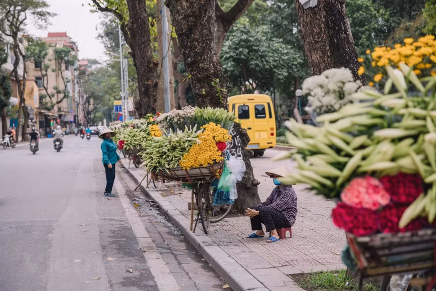 Thanks to vendors, Easter lilies are present on almost every street, making Hanoi special in April. They stand out among the flowers sold on streets because of their simplicity and beauty. The flower can be used as a decoration at home or an offering at pagodas. To have Easter lilies for sale in April, growers have to plant the bulbs in September and October of the previous year. Old bicycles laden with a variety of blooming flowers are like a piece of the colourful mosaic of Hanoi streets. Street vendors are present in the city all year round, and they have formed part of the local attractiveness. (Photo: VietnamPlus)