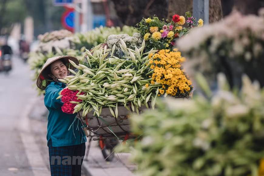 In Hanoi, Easter lilies are sold in a great quantity on such streets as Thuy Khue, Phan Dinh Phung, and Kim Ma. The bicycle of a street vendor in this photo seems to be dwarfed by Easter lilies and a wide range of other colourful flowers. The items sold by street vendors can also be considered as indicators of what season Hanoi is in. Easter lily is not only a kind of brilliant and fragrant flower like many others, but its simply white colour also creates a pure beauty, which has inspired so many people. Many are even ready to wait until the lily season to enjoy its rustic beauty. (Photo: VietnamPlus)