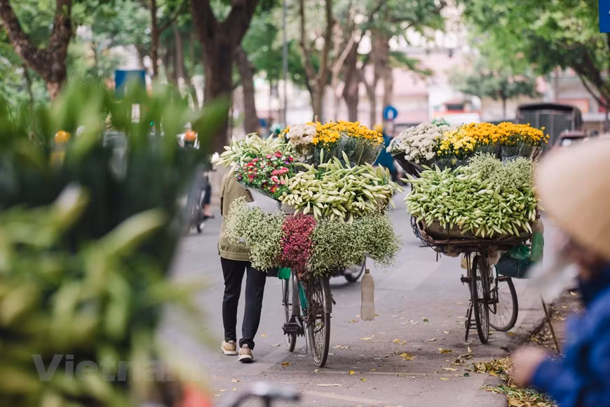 The vibrant Hanoi in early summer suddenly becomes much more poetic and romantic thanks to the presence of Easter lily vendors. In 2019, CNN listed Hanoi and Phu Quoc Island in the Mekong Delta province of Kien Giang as the best travel destinations in Asia. Many highlights of Hanoi were recently listed in the CNN article suggesting 13 memorable experiences for foreign visitors in Vietnam such as ‘search for the best pho in Hanoi’, ‘make vermicelli noodles in Cu Da village’, and ‘ride the Reunification Express (officially known as North-South Railway)’. Meanwhile, Bigseventravel, an Italian tourism website, gave Hanoi the fifth position among the seven best places in Asia for solo travelers. (Photo: VietnamPlus)