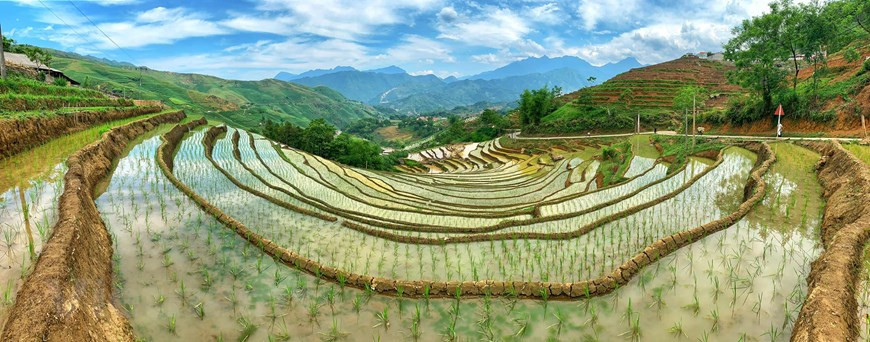 The season of watering starts from May to June. As locals transplant rice seedlings, visitors are treated to the sight of glittering ponds. After that, the hills are covered by green. treated to the sight of glittering ponds. Terraced rice fields lay at the foot of Fansipan Mountain in Y Ty in the northern mountainous province of Lao Cai of Vietnam. Created by generations of workers and farmed for hundreds of years, the best time to visit rice terraces is just before they are harvested in September when the uniform fields are swamped with a bright yellow crop. Terraces were devised in agriculture to ensure more effective farming on sloped plains. (Photo: Vietnamplus)
