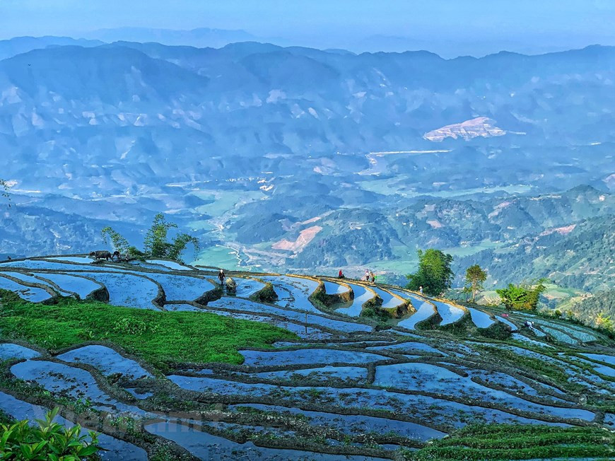 Y Ty is one of the poorest communes in Bat Xat district, the northern mountainous province of Lao Cai. Y Ty commune has become an attractive tourism destination for both domestic and international tourists in recent years due to its natural beauty. Nestled against the 2,700m-Nhi Cu San mountain, the commune rarely sees the sun and is often covered by dense white clouds. Y Ty commune attracts tourists by the clouds, mountains, and artistic terraced rice fields. With an average height of over 2,000 meters above sea level, when coming to Y Ty commune, visitors can admire the vast and seductive perspective of ripe terraced paddy fields. (Photo: Vietnamplus) 