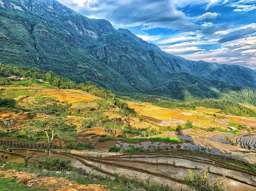 Y Ty mountainous commune is located about 70km from the centre of Lao Cai city in northern Lao Cai province. Pure air and amazing natural landscape give Y Ty its unique appeal for visitors. Especially, Y Ty is very inviting to visitors on the watering season which lasts from May to June. Visitors to Y Ty will be treated to the breathtaking beauty of terraced rice fields stretching over the mountains there during this season when local residents transplant rice seedlings. Y Ty attracts tourists by the clouds, mountains, and artistic terraced rice fields. In the photo: The sunlight creates a majestic beauty of the golden rice fields in Y Ty. (Photo: Vietnamplus)