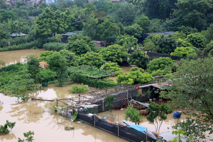 Residents of an alluvial islet have been anxiously monitoring the water level and trying to carry on with their lives amid the chaos brought by the flooding. (Source: VNA)